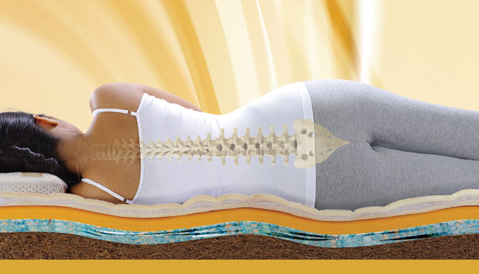 Body Support