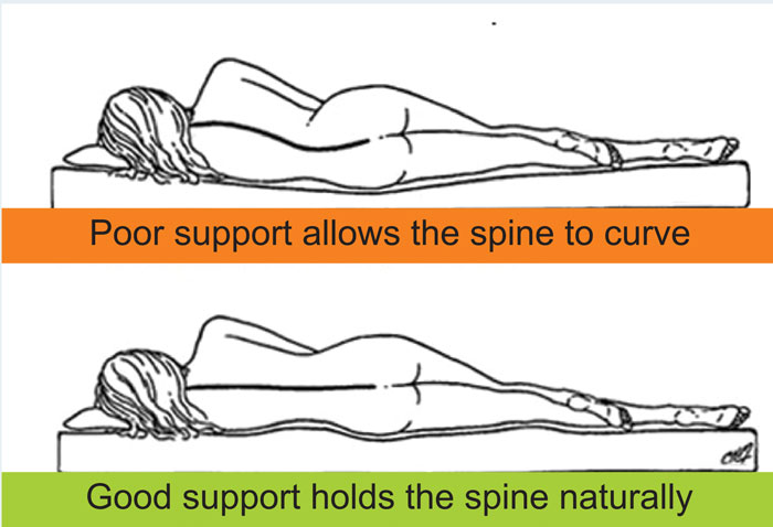 Good Spine Support